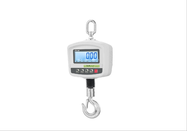 Crane Scale, 600Kg x 100g - Boston Instruments and Equipment Co.