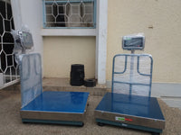 Platform Weighing Scale with Bluetooth Enabled Indicator, 300kg x 100g - Boston Instruments and Equipment Co.
