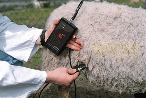 Pregnancy Detector for sheep and goats